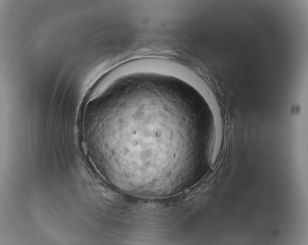 X0000111240340200907231534