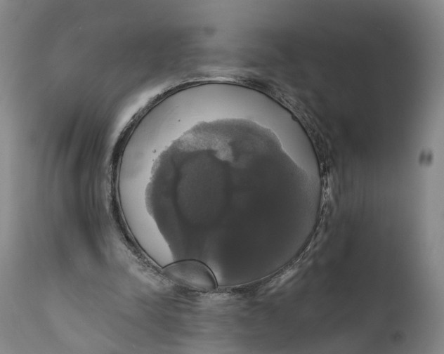 X0000111240342200907231534