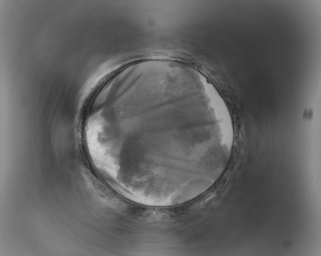 X0000111240343200907231534