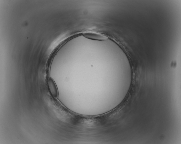 X0000111240344200907231534