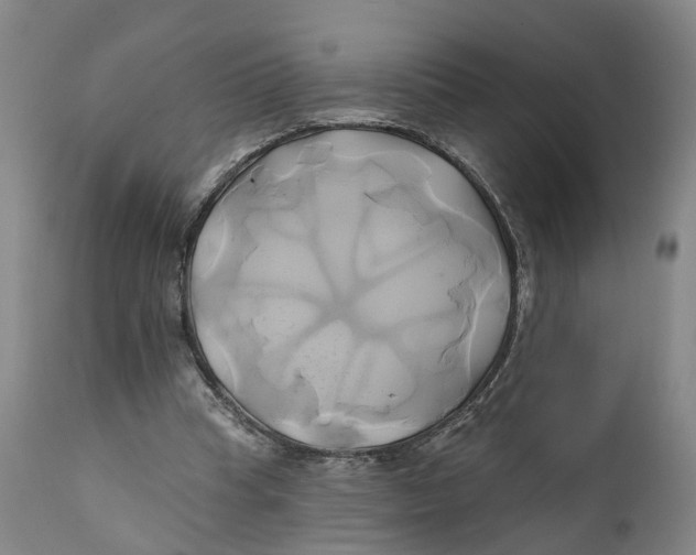 X0000111240345200907231534