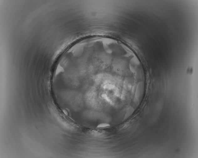 X0000111240346200907231534