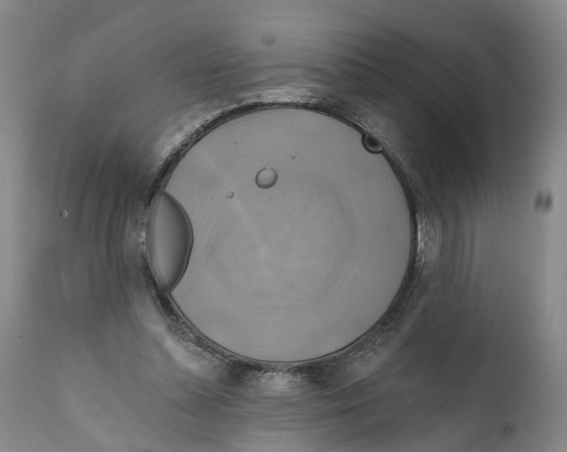 X0000111240348200907231534