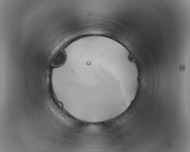 X0000111240350200907231534