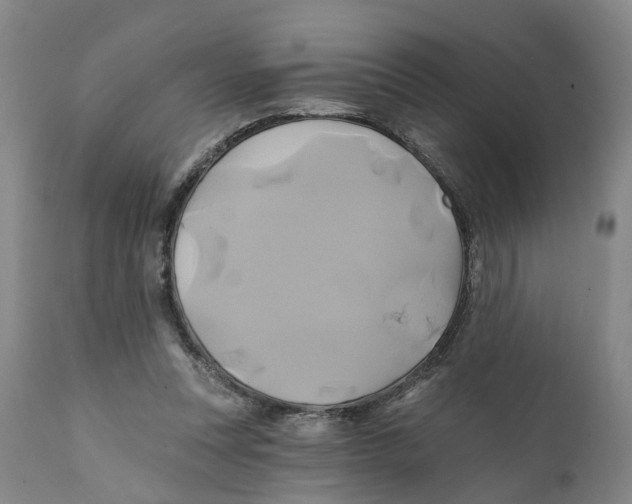 X0000111240351200907231534