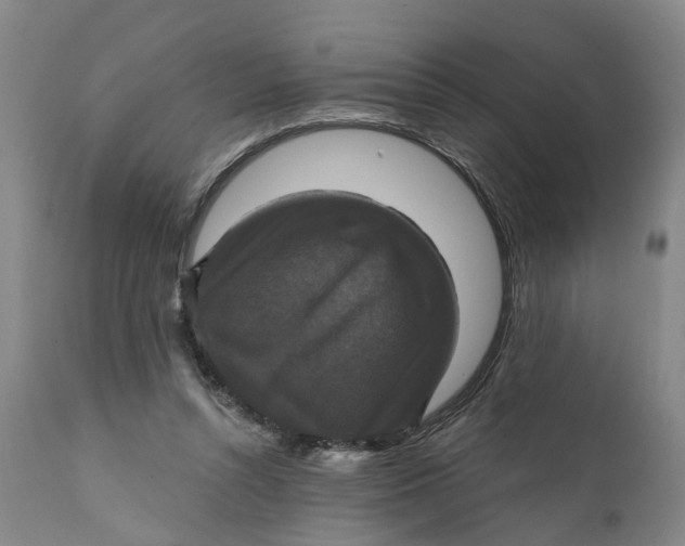 X0000111240352200907231534