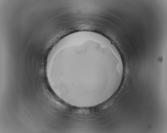 X0000111240353200907231534