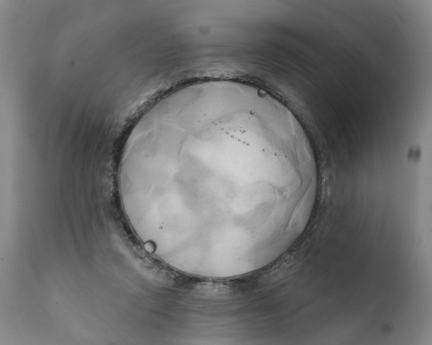 X0000111240354200907231534