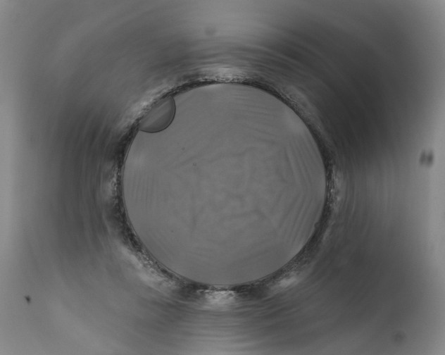 X0000111240355200907231534