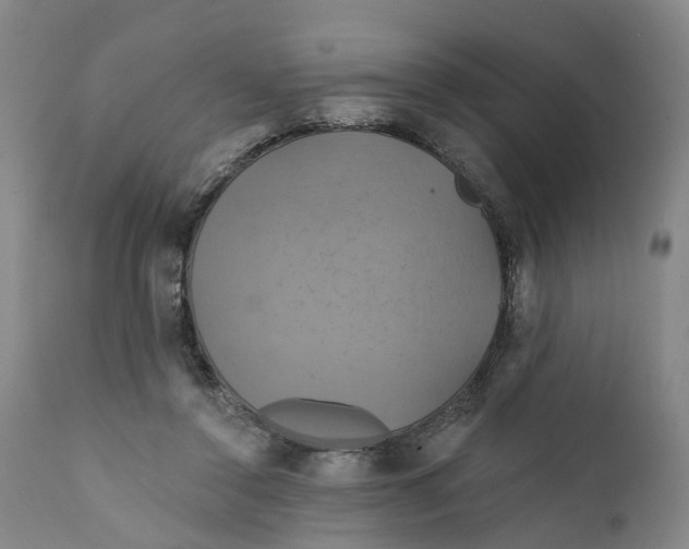 X0000111240356200907231534