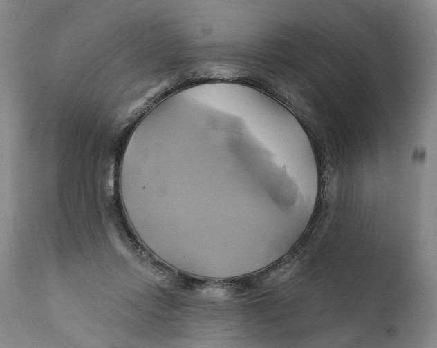 X0000111240358200907231534