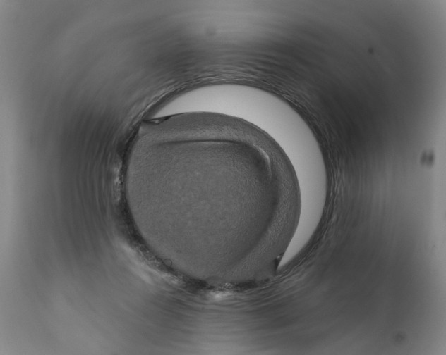 X0000111240360200907231534