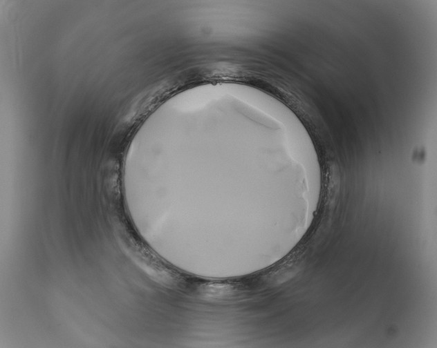 X0000111240361200907231534