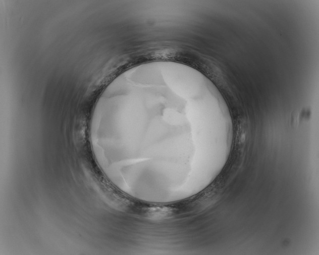 X0000111240363200907231534