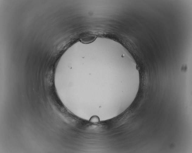 X0000111240364200907231534