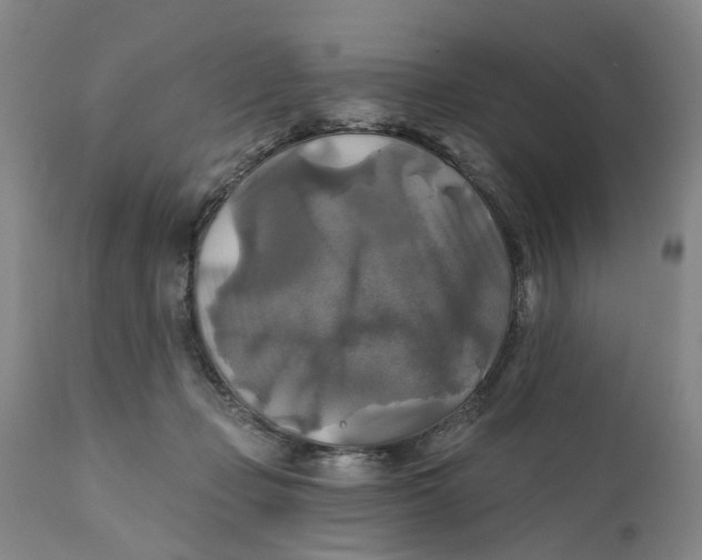 X0000111240365200907231534