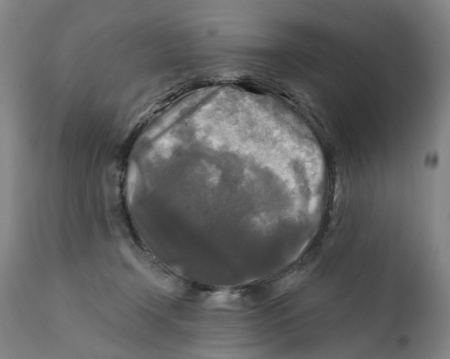 X0000111240366200907231534