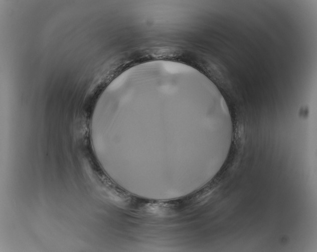 X0000111240367200907231534