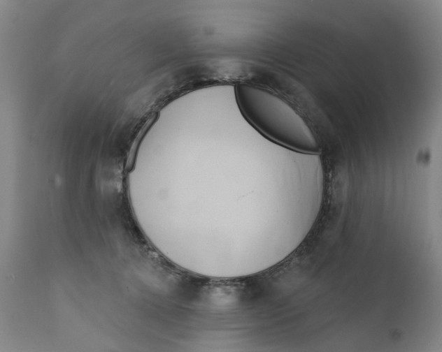 X0000111240368200907231534