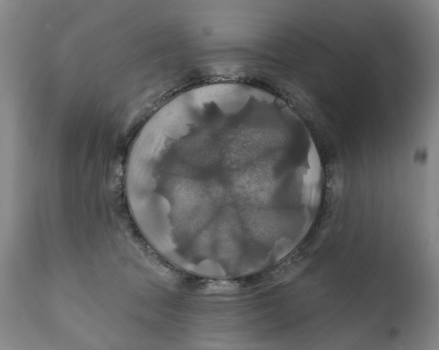 X0000111240369200907231534