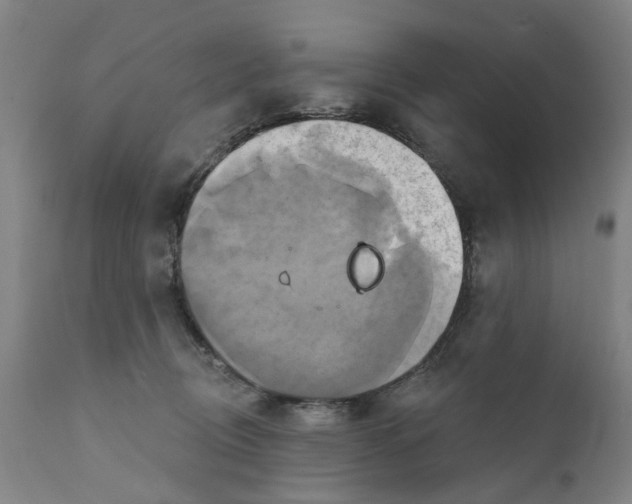 X0000111240370200907231534