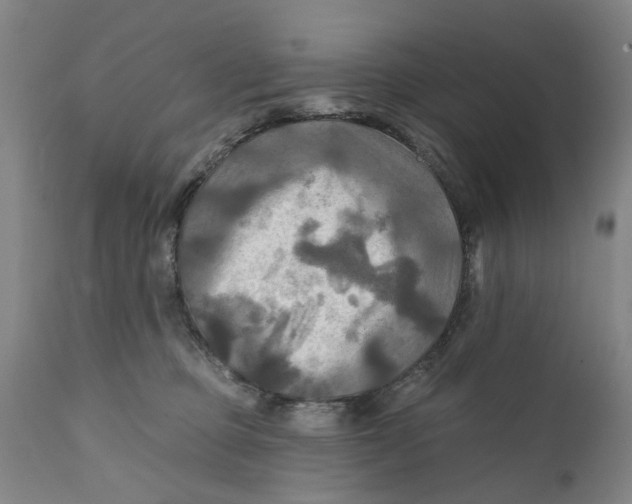 X0000111240373200907231534