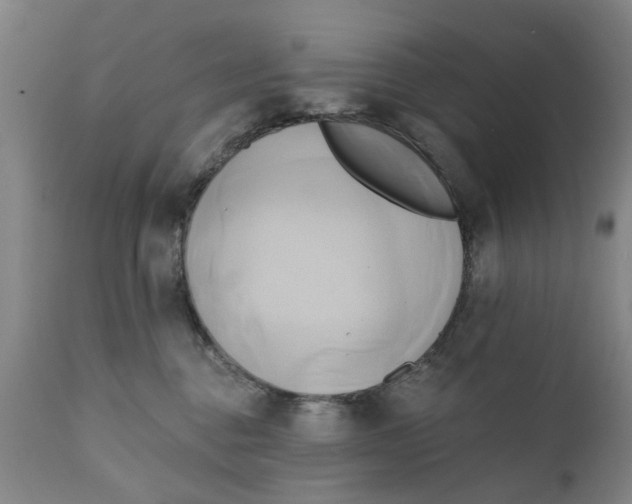 X0000111240376200907231534