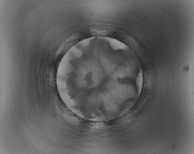 X0000111240377200907231534