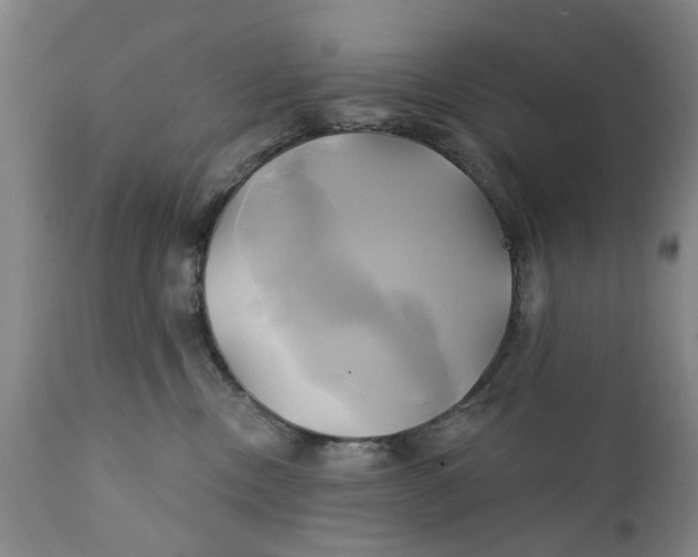 X0000111240378200907231534