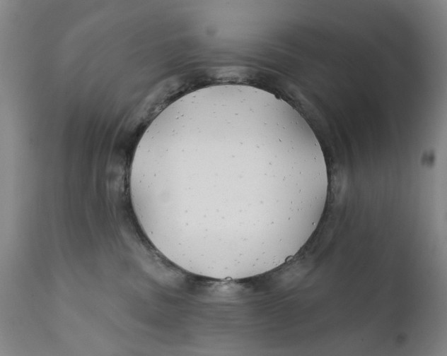 X0000111240379200907231534