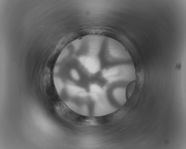 X0000111240381200907231534