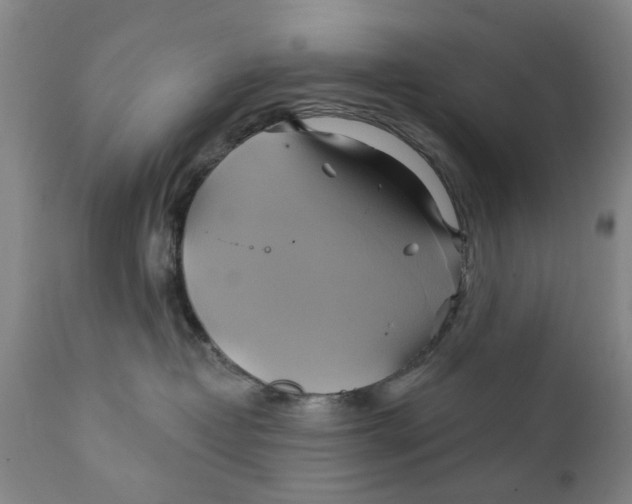 X0000111240382200907231534