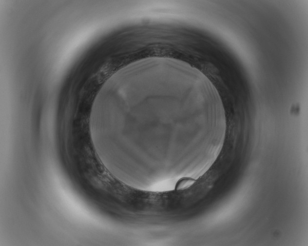 X0000111240383200907231534