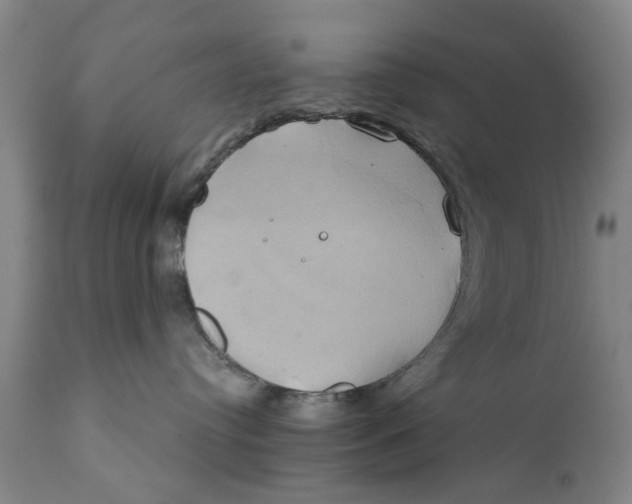 X0000111240384200907231534