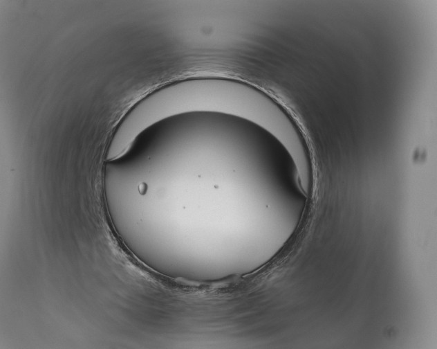 X0000111240385200907231534