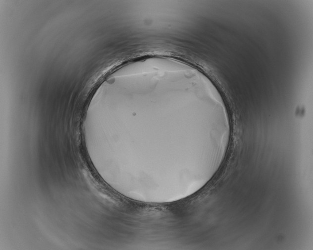 X0000111240386200907231534