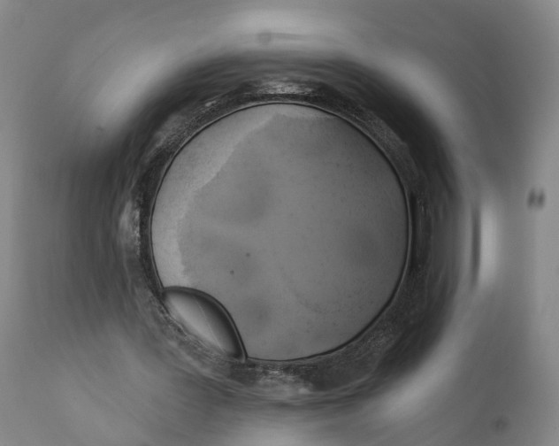 X0000111240387200907231534