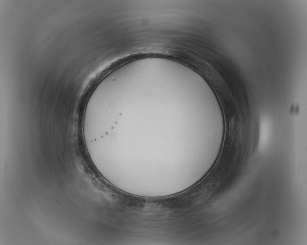 X0000111240388200907231534