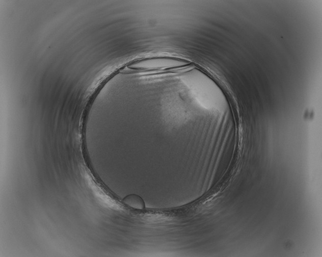 X0000111240389200907231534