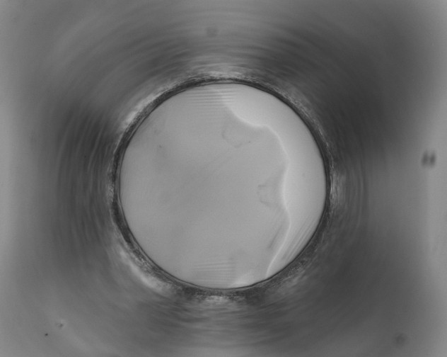 X0000111240390200907231534