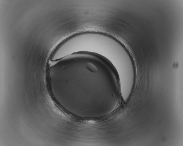 X0000111240391200907231534