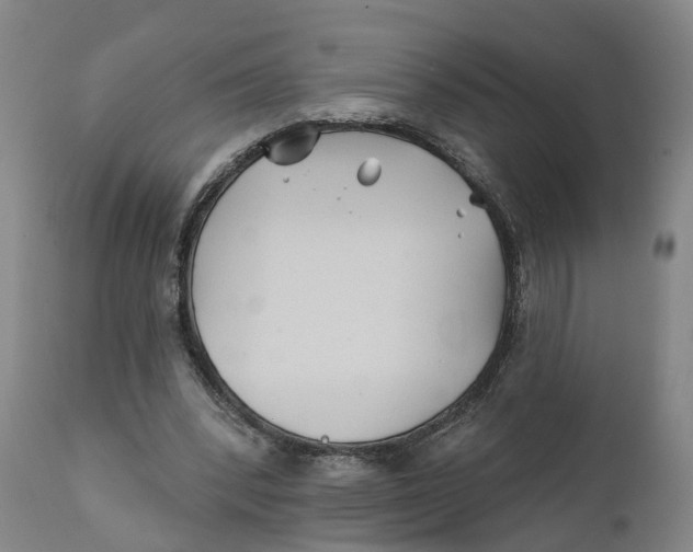 X0000111240392200907231534