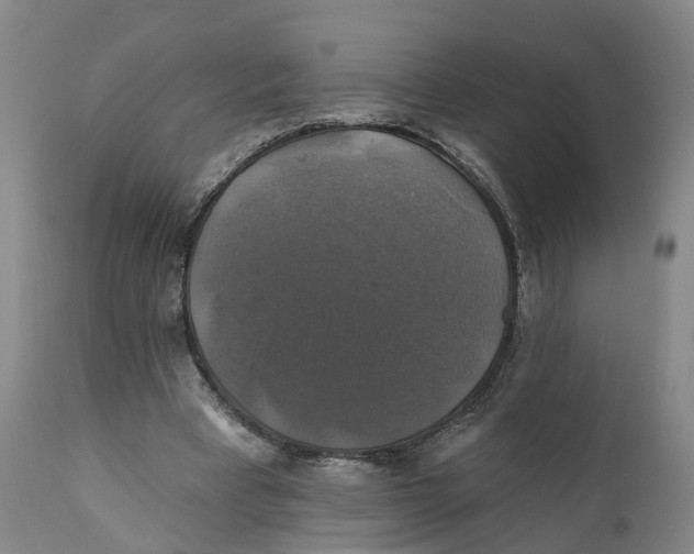 X0000111240393200907231534