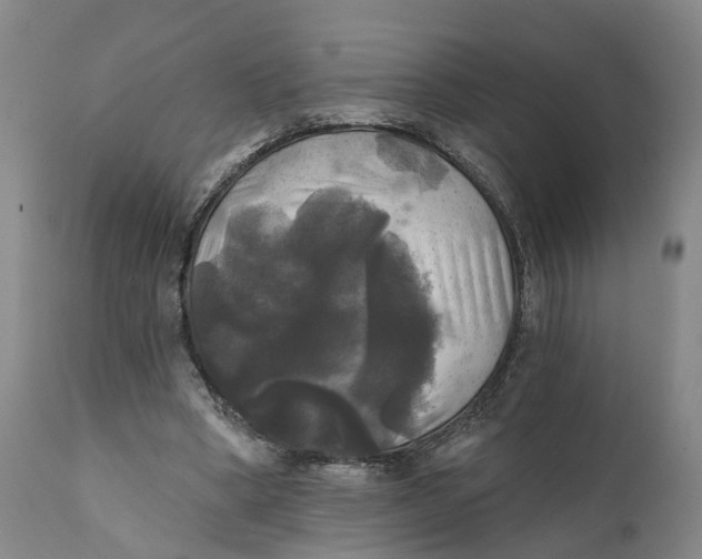 X0000111240394200907231534