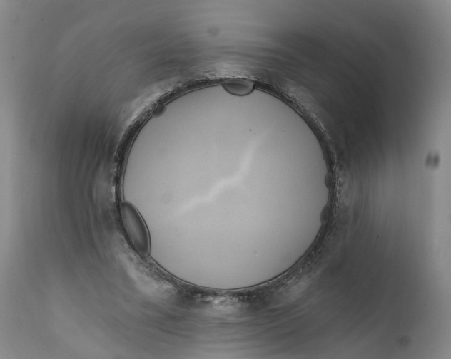 X0000111240395200907231534