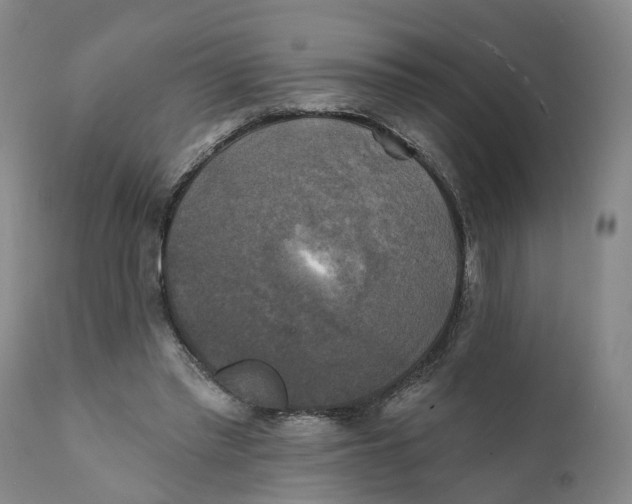 X0000111240397200907231534