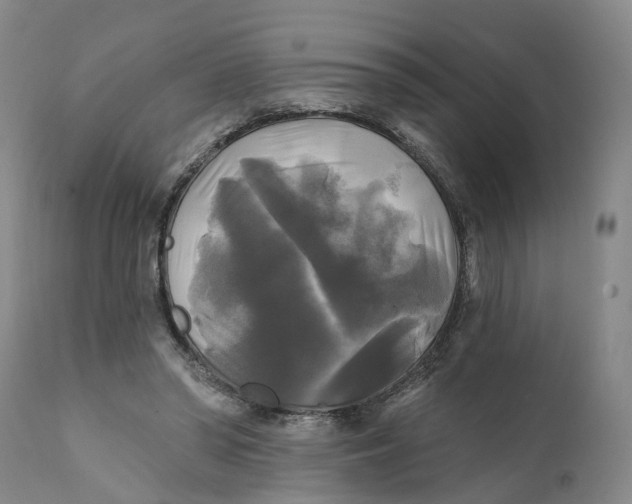 X0000111240398200907231534