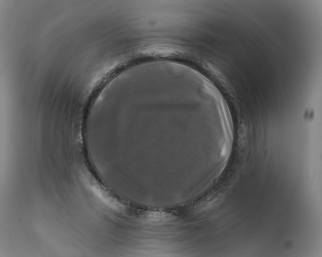 X0000111240399200907231533