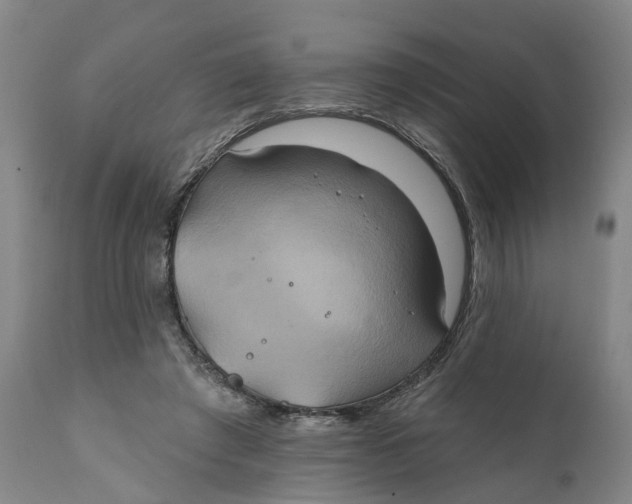 X0000111240401200907231533