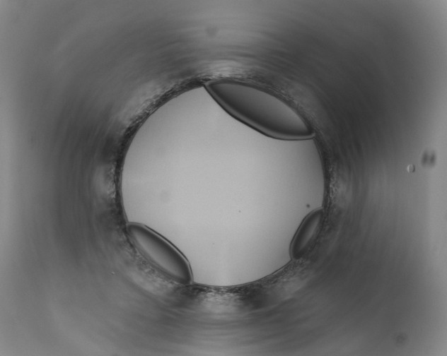 X0000111240403200907231533